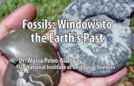 UP TALKS | Fossils: Windows to the Earth’s Past