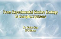UP TALKS | From Experimental Marine Biology to Complex Systems