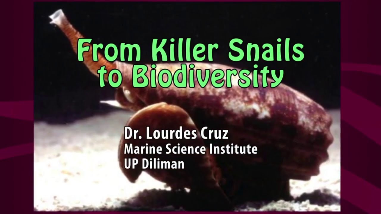 UP TALKS From Killer Snails to Biodiversity TVUP