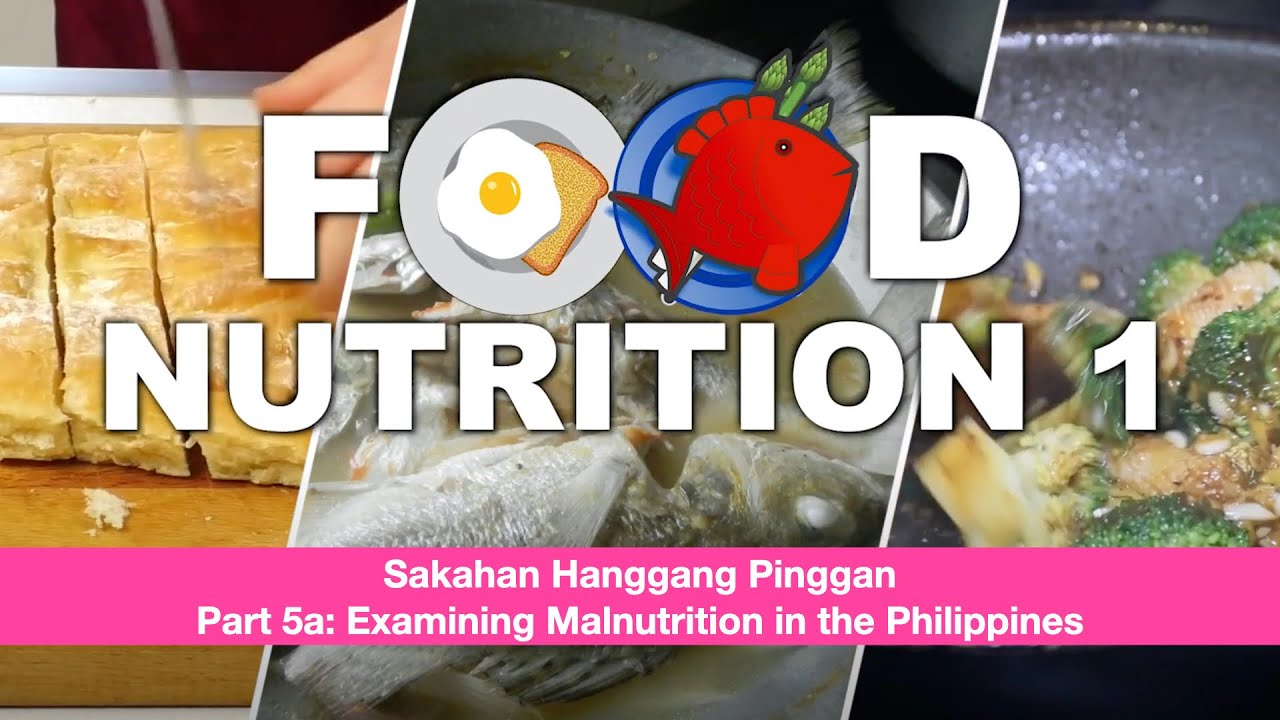 FN1 | Sakahan Hanggang Pinggan | Part 5a Examining Malnutrition in the Philippines