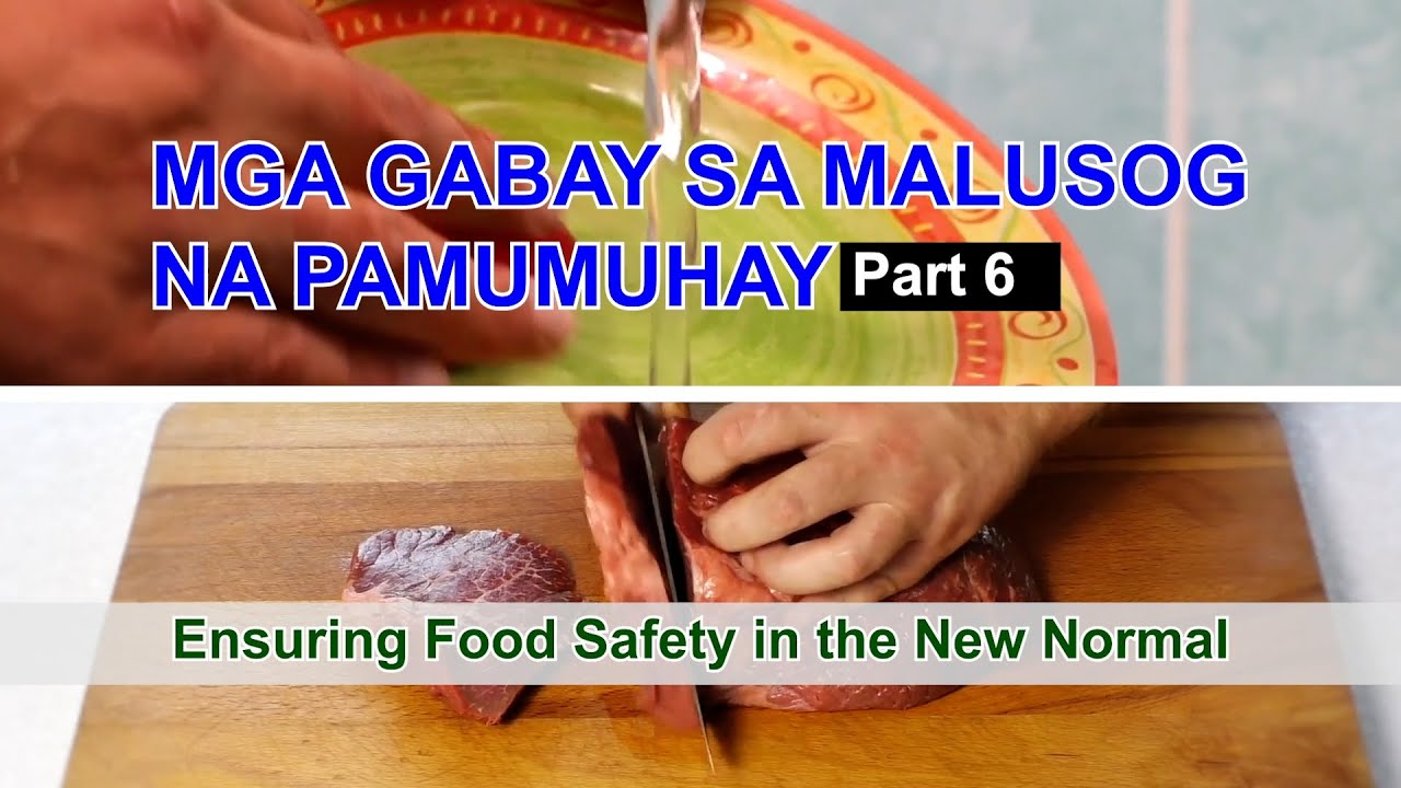 FN1 Mga Gabay sa Malusog na Pamumuhay Part 3  Promoting Mental Health and Wellness in the New Normal